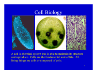 Cell Biology.pdf
